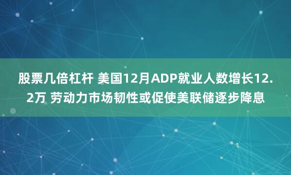 股票几倍杠杆 美国12月ADP就业人数增长12.2万 劳动力市场韧性或促使美联储逐步降息