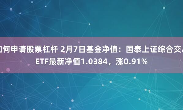 如何申请股票杠杆 2月7日基金净值：国泰上证综合交易ETF最新净值1.0384，涨0.91%