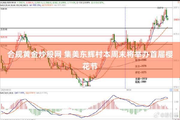 合规黄金炒股网 集美东辉村本周末将举办首届樱花节